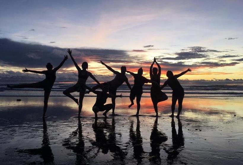 بنسيون The Pelican House Hostel