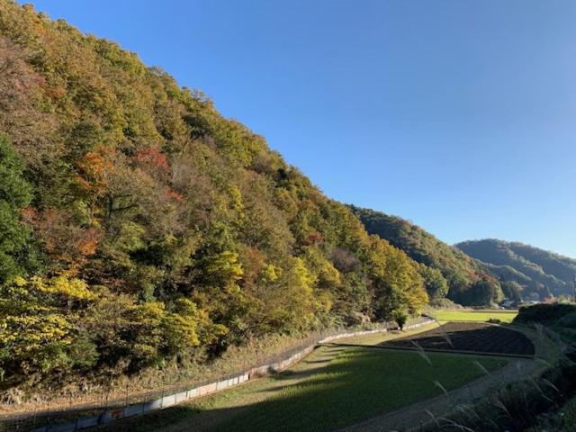 پانسیون Yakuno House