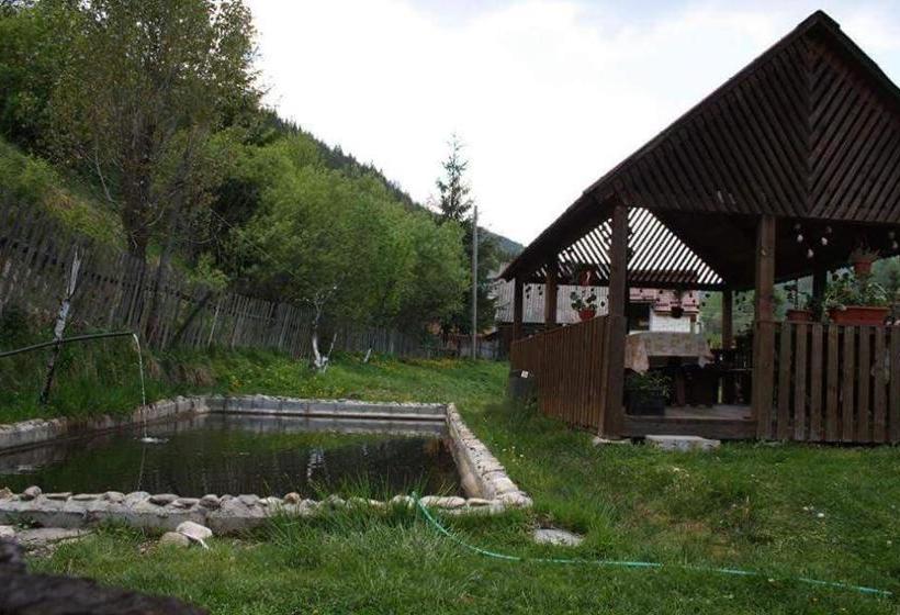 Pensiunea ,,suciu