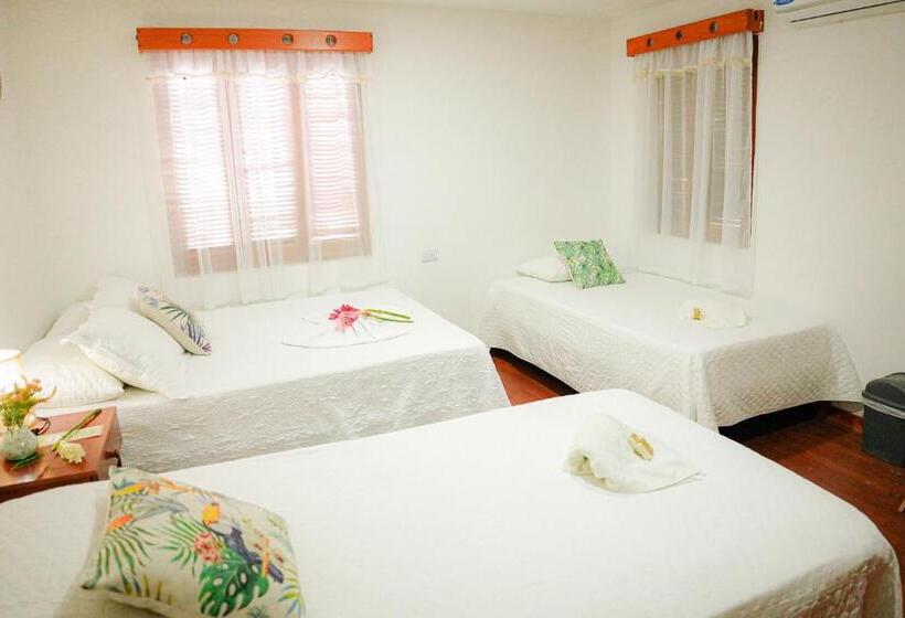 هاستل Ecohotel Yachay Tayrona Dentro Del Parque Tayrona