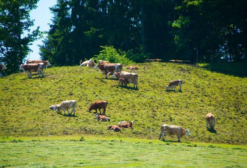 ユースホステル Gasthof Koglerhof