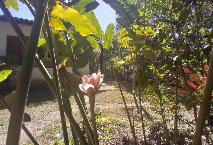 旅馆 Pousada Do Pequi