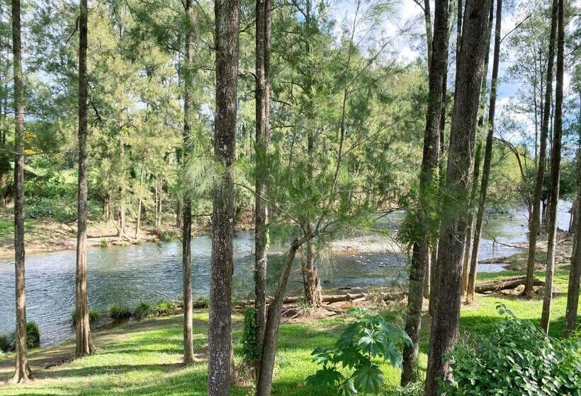 Отель Birdsong Bellingen Farm
