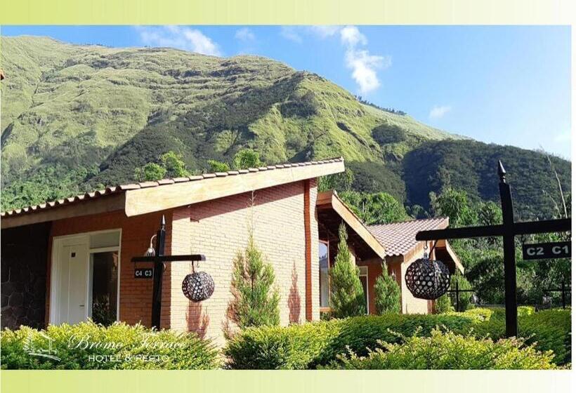 酒店 Bromo Terrace