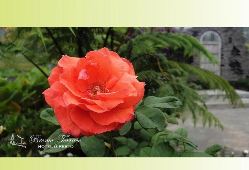 酒店 Bromo Terrace