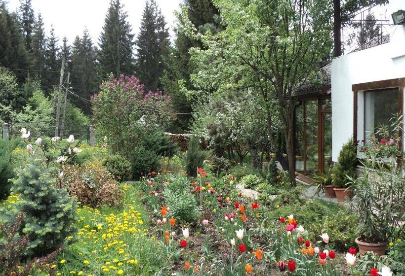 هتل Casa Serban