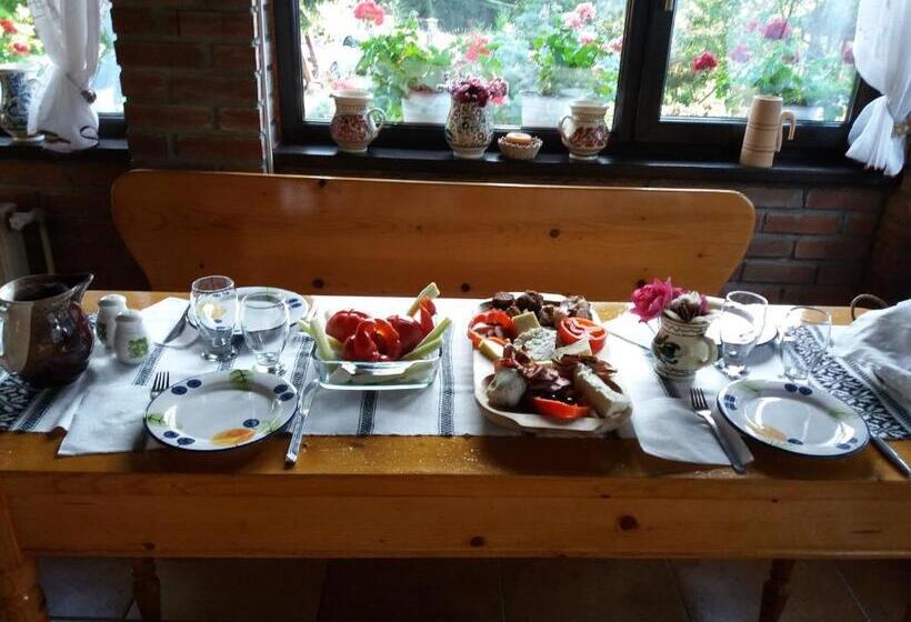 هتل Casa Serban