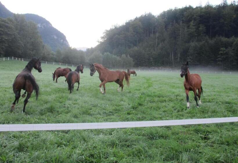 ホテル Eichhof Brienzwiler Berner Oberland