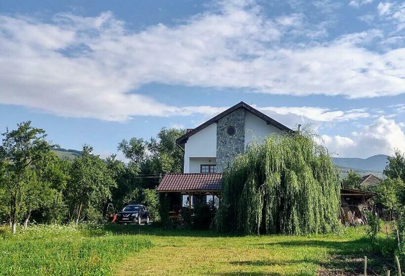 هتل Pensiunea Codruta