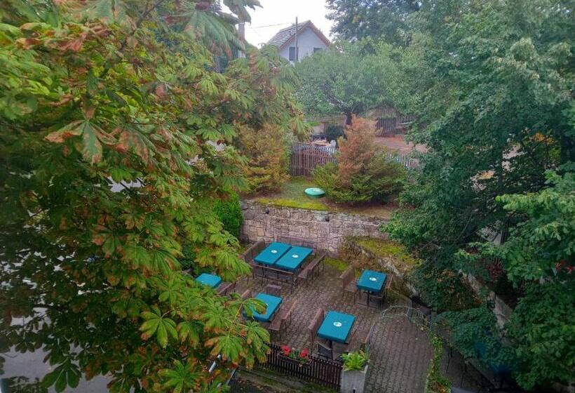 ホテル U Zeleného Stromu   Zum Grünen Baum