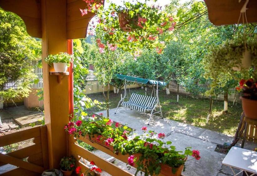 پانسیون Casa Andreea