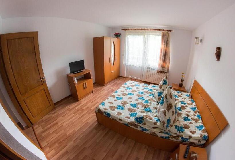 پانسیون Casa Andreea