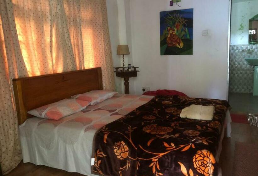 Pension Hamadhi Guest