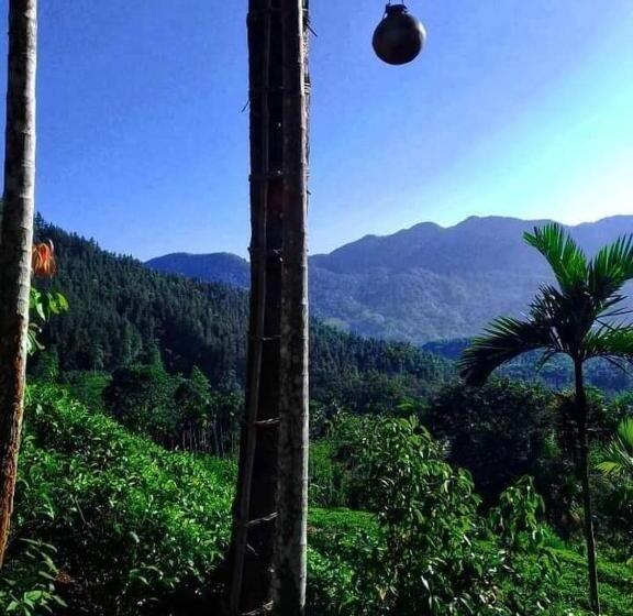 Pension Hamadhi Guest