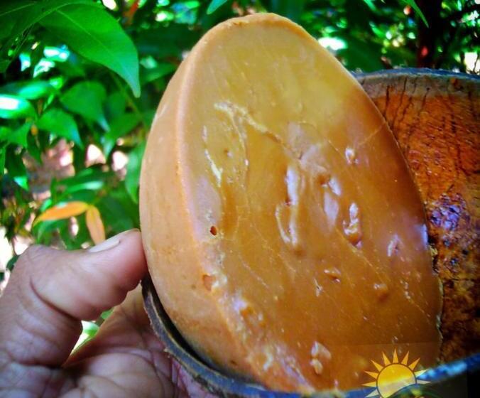 Pension Hamadhi Guest