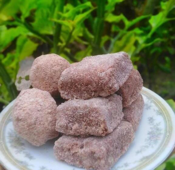 Pension Hamadhi Guest