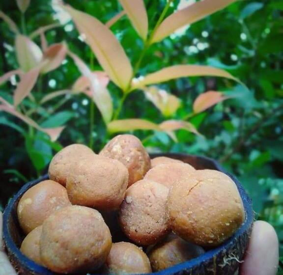 Pension Hamadhi Guest