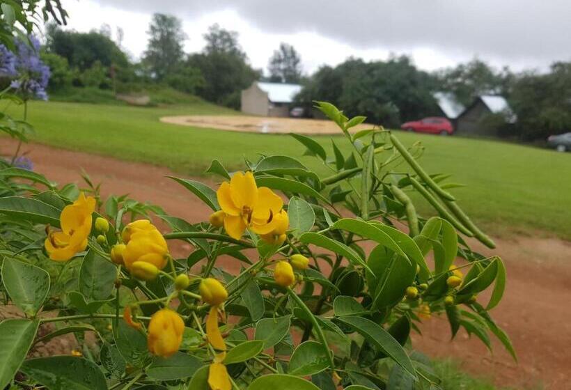 ペンション Mulberry Lane