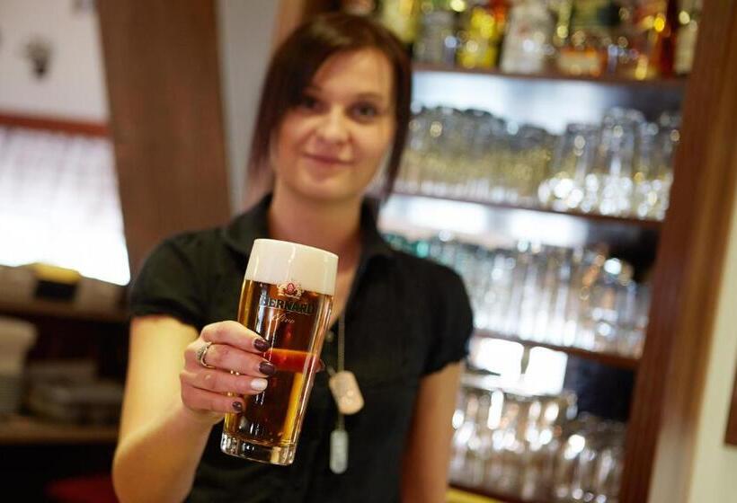 Пансион Penzion Statek Bernard