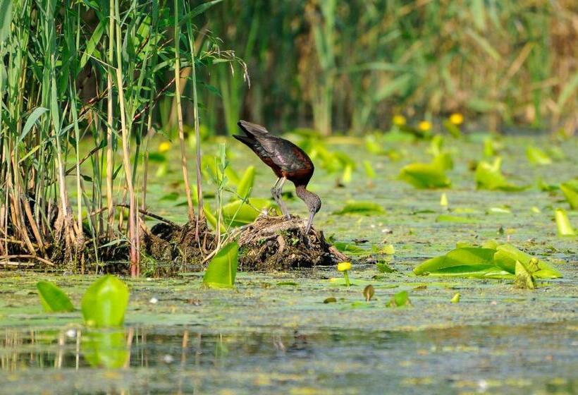 بنسيون Vila Delta Travel Mila 23