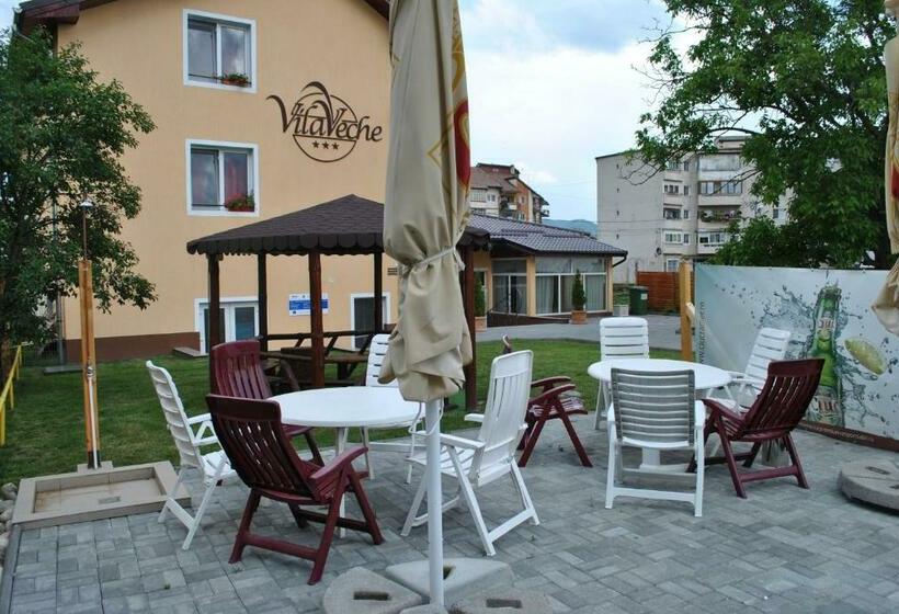 Пансион Vila Veche