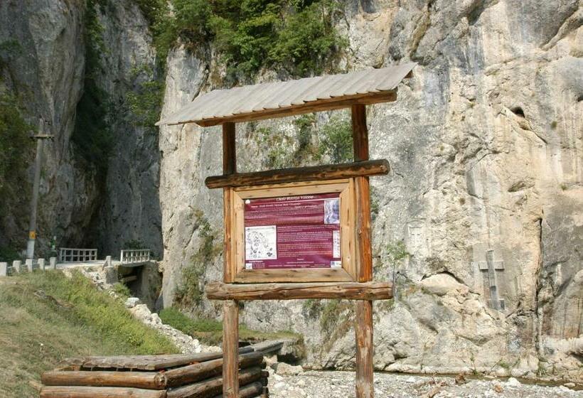 Pension Nicoleta