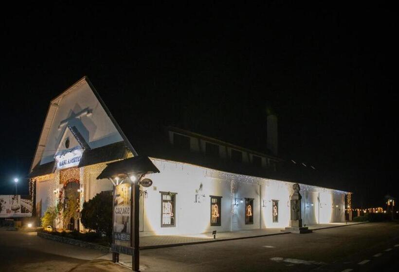 호스텔 Hanul Ancutei