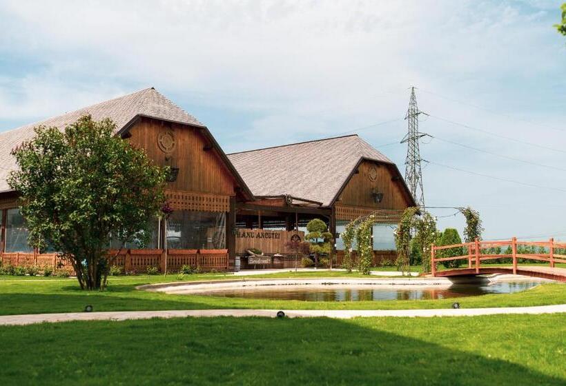 호스텔 Hanul Ancutei