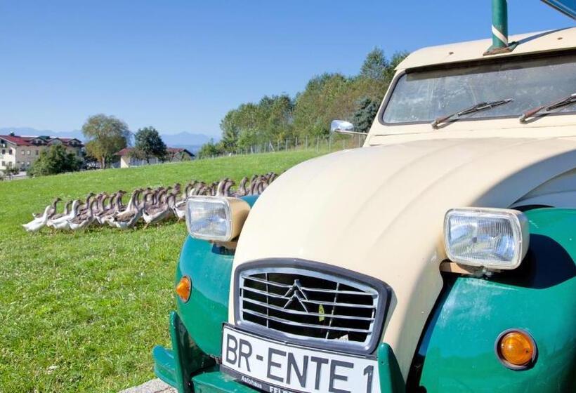 ユースホステル Landgasthof Entenwirt Tarsdorf