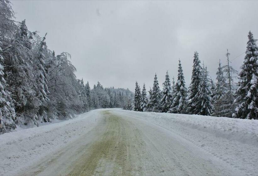 ユースホステル Lian Family Hotel & Restaurant