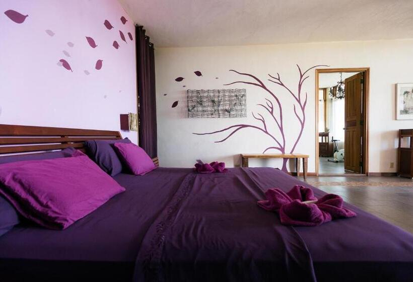 هاستل Punta Duarte Garden Inn