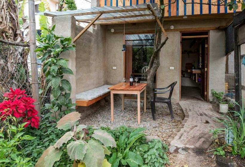 تختخواب و صبحانه Avalon Hostal Boutique