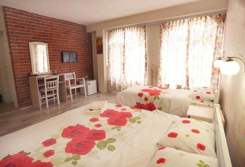 בית מלון כפרי Divna