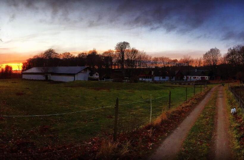 هتل Farm Stay Happy Dogs Ranch