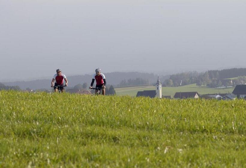 ホテル Gasthof Beim Böckhiasl