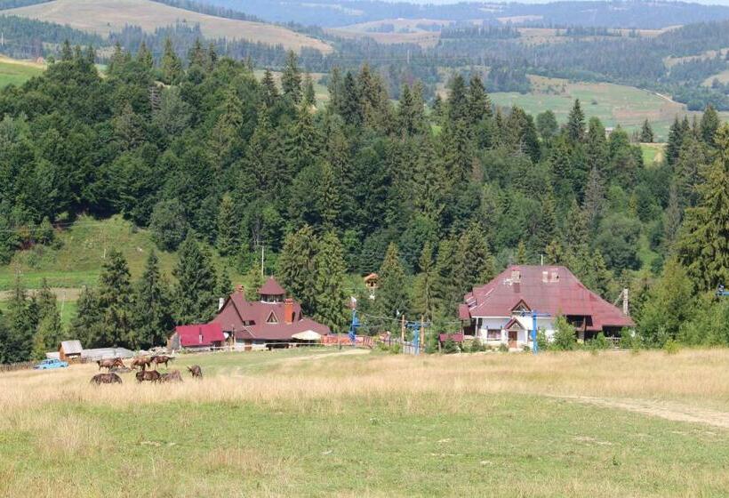 Отель Goryanyn