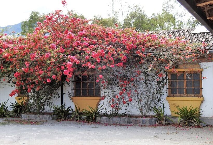 בית מלון כפרי Hosteria Museart Pantavi