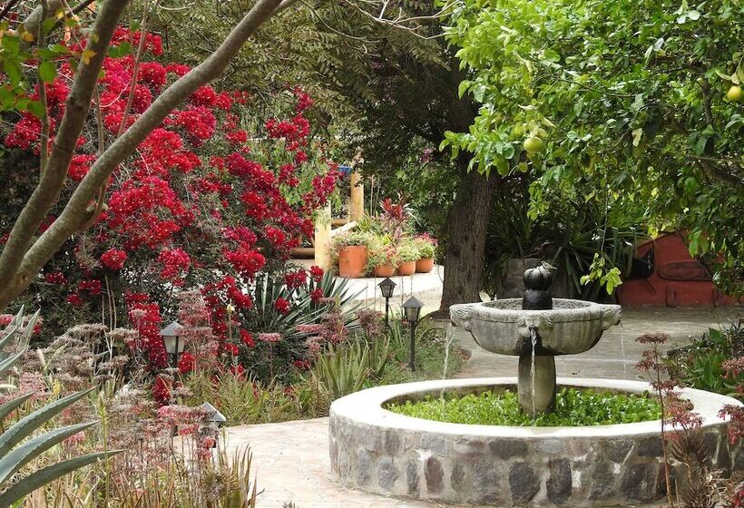 בית מלון כפרי Hosteria Museart Pantavi