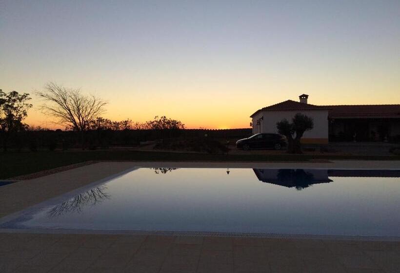 فندق Monte Das Palmeiras