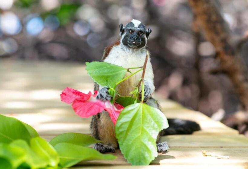 ホテル Urraca Monkey Island Eco Resort