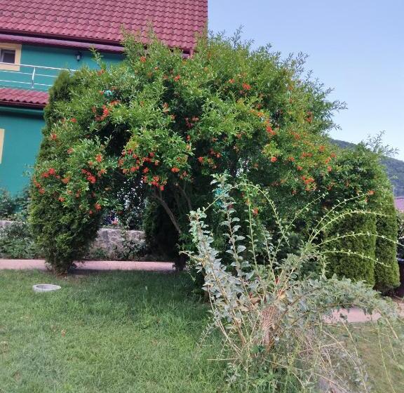 پانسیون Casa Lucian