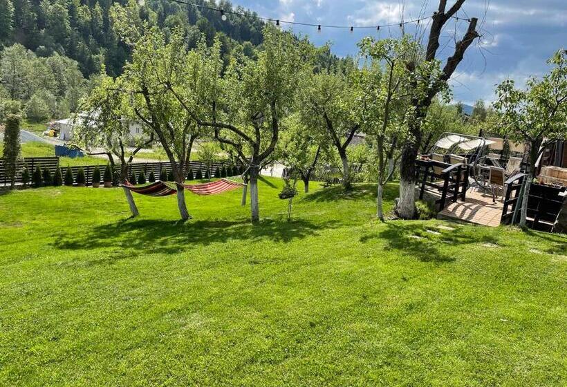 پانسیون Cazare Colibita Casa Lipan