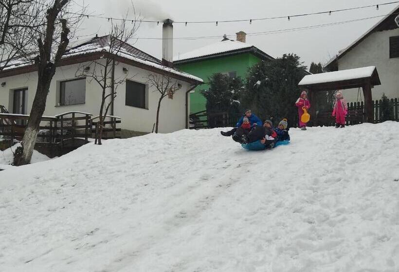 پانسیون Cazare Colibita Casa Lipan