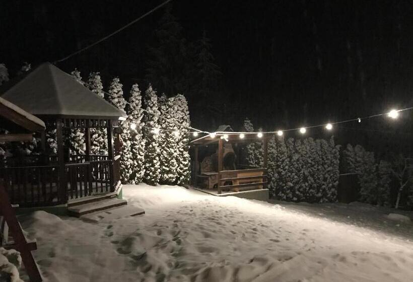 پانسیون Cazare Colibita Casa Lipan