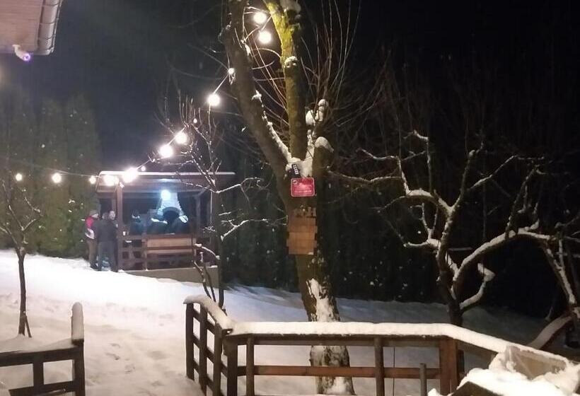 پانسیون Cazare Colibita Casa Lipan