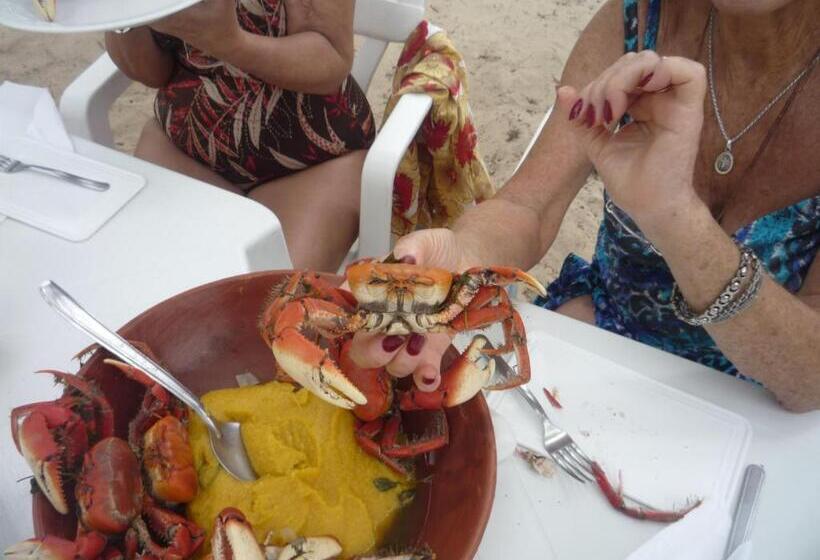 פנסיון Pousada Coruja Branca