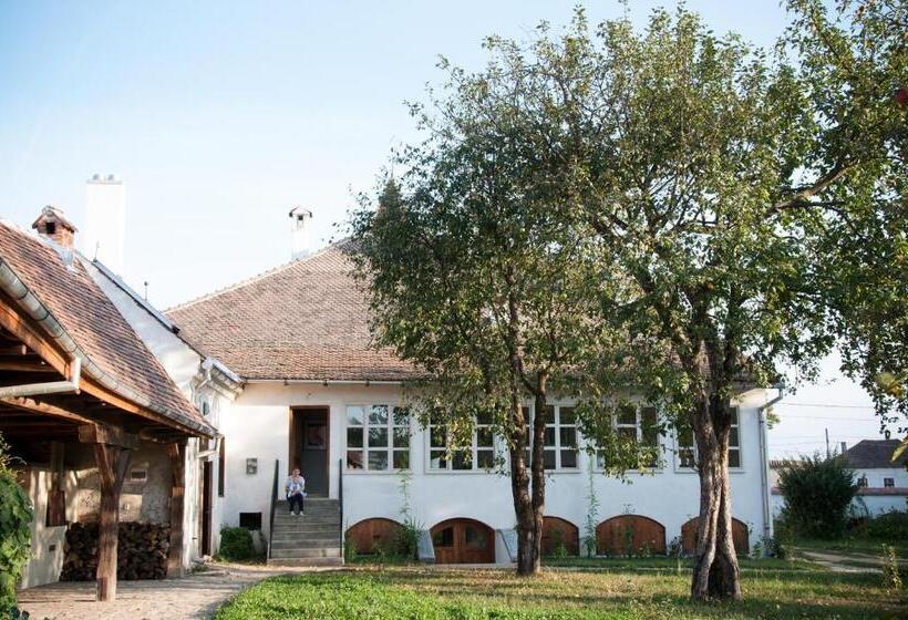 بنسيون Transylvania Guesthouses