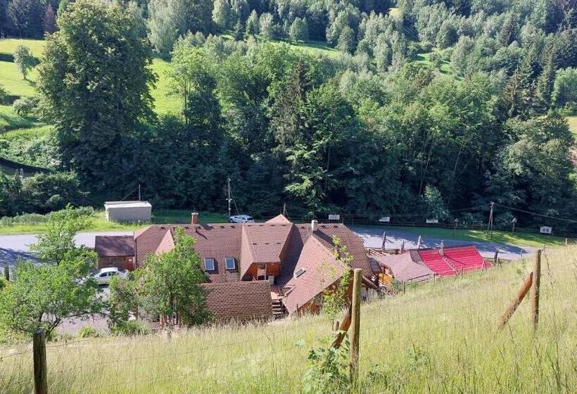 Пансион U Veselé Lišky