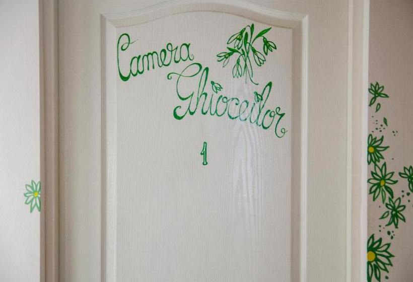 بنسيون Vilele Superski