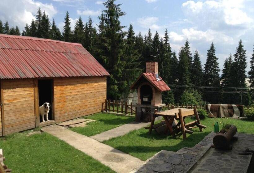 Pension Tofalvi